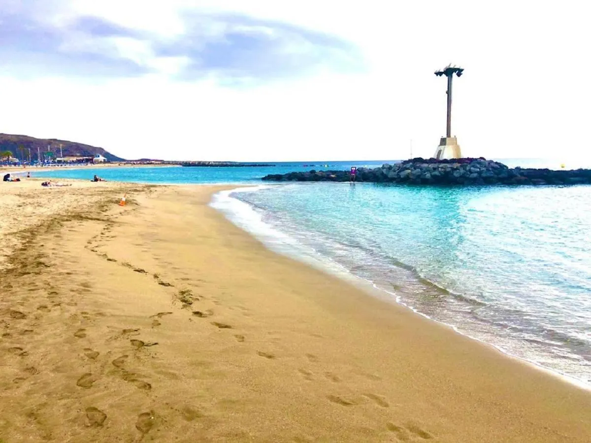 Summerland Paradise By Deihu Experiences Los Cristianos  Los Cristianos (Tenerife)